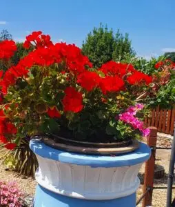 Torquay Best bed and Breakfast
