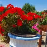 Torquay Best bed and Breakfast