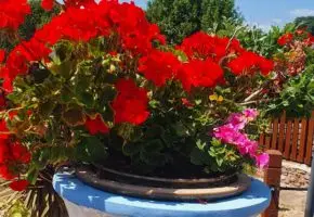 Torquay Best bed and Breakfast