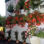 bed and breakfast in torquay, the best bed and breakfast in torquay,